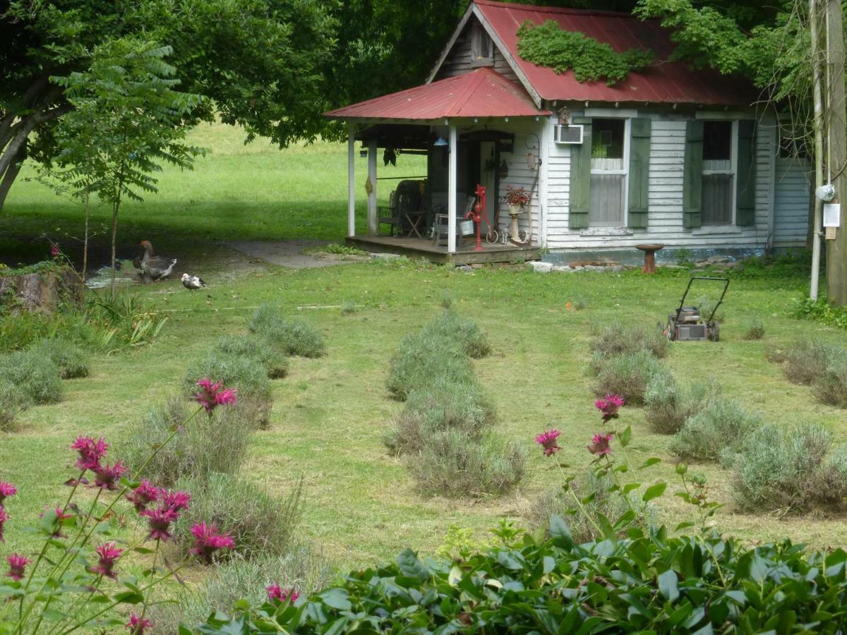 Mulberry Lavender Farm And B&B Zewnętrze zdjęcie