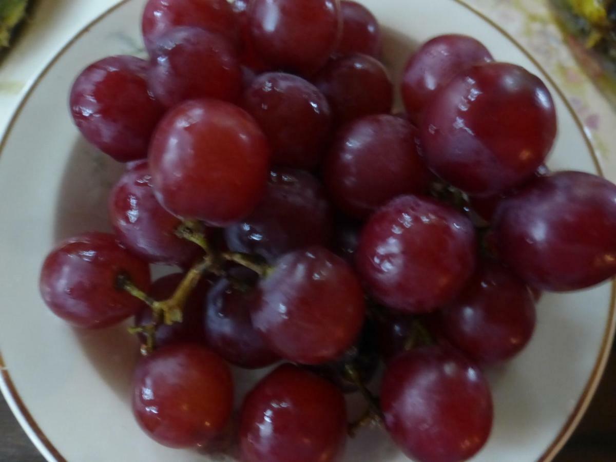 Mulberry Lavender Farm And B&B Zewnętrze zdjęcie